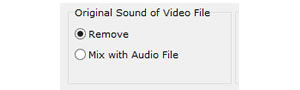 Add Audio to Video